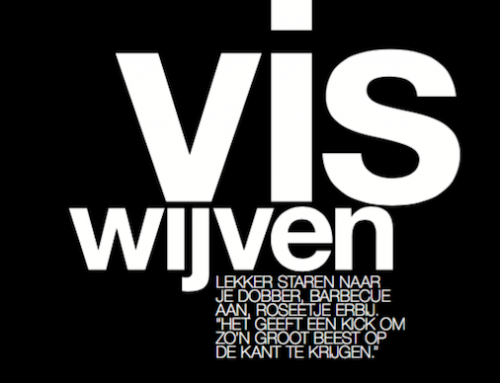 Viswijven